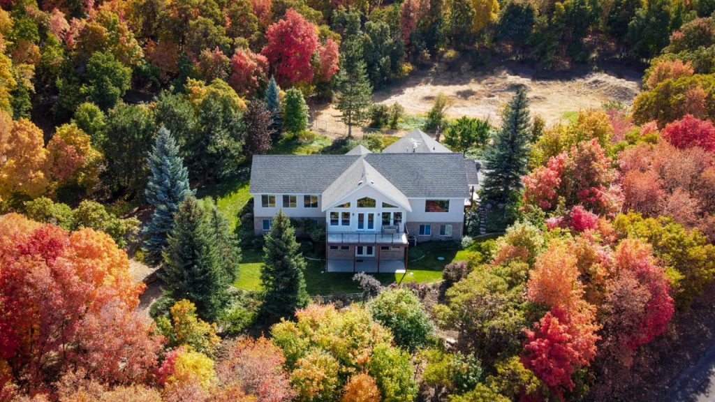 Multicolored trees surrounding a luxury home in Northern Virginia in the fall.